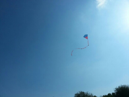 IMG-20140608-WA0006.jpg image